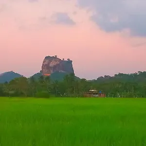 https://nice-view-lodge.kandyhotelsnow.com